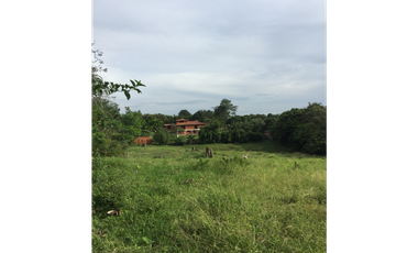 Venta Lote Vía Cerritos - Pereira