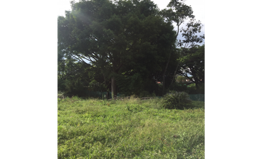 Venta Lote Vía Cerritos - Pereira