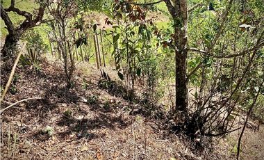 Venta Casa Semi Parcelacion El Retiro