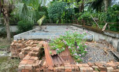 DIJUAL TANAH BONUS RUMAH JALAN KEBUN BUNGA KM 9 PALEMBANG