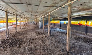 Vendo Granja Avicola en Concepción Del Uruguay, Entre Ríos.
