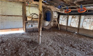 Vendo Granja Avicola en Concepción Del Uruguay, Entre Ríos.