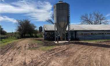 Vendo Granja Avicola en Concepción Del Uruguay, Entre Ríos.