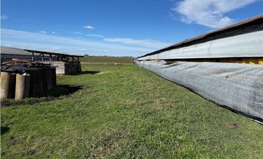 Vendo Granja Avicola en Concepción Del Uruguay, Entre Ríos.