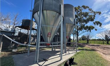 Vendo Granja Avicola en Concepción Del Uruguay, Entre Ríos.