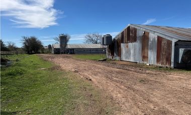 Vendo Granja Avicola en Concepción Del Uruguay, Entre Ríos.