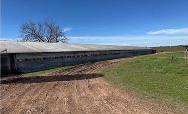 Vendo Granja Avicola en Concepción Del Uruguay, Entre Ríos.
