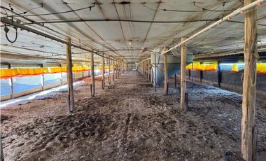 Vendo Granja Avicola en Concepción Del Uruguay, Entre Ríos.