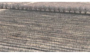 VENTA DE FINCA 28,7 HAS EN ING, GUSTAVO ANDRE- LAVALLE, MZA