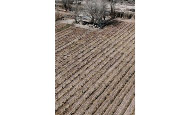 VENTA DE FINCA 28,7 HAS EN ING, GUSTAVO ANDRE- LAVALLE, MZA