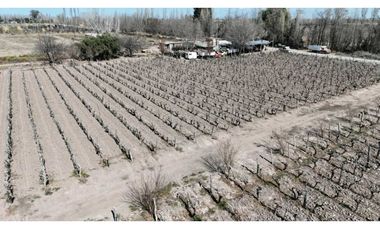 VENTA DE FINCA 28,7 HAS EN ING, GUSTAVO ANDRE- LAVALLE, MZA