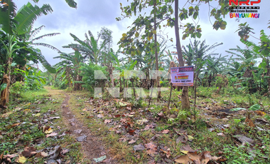 Dijual Tanah Kering Murah Siap Bangun di Bulusan - Banyuwangi