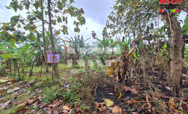 Dijual Tanah Kering Murah Siap Bangun di Bulusan - Banyuwangi