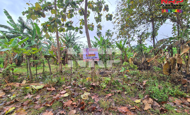 Dijual Tanah Kering Murah Siap Bangun di Bulusan - Banyuwangi