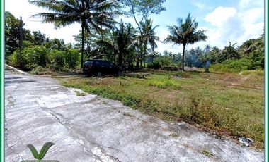 PROMO 90 Jutaan Tanah Kulonprogo Dekat Bandara YIA Jogja