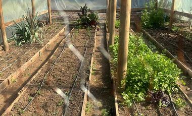 Casa en venta en CURACAVÍ