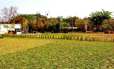 Jual BU! Apartemen Studio Gading Greenhill Lantai Rendah Kelapa Gading