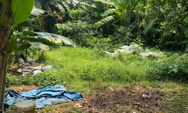 Tanah kotak luas 603 m2 dkt jalan biak BSD sudah shm sangat strategis