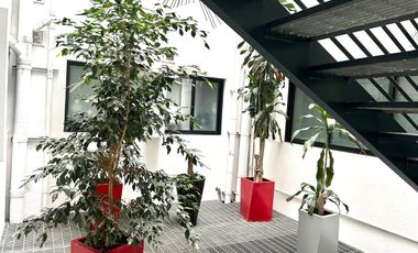 Renta departamento PH en Polanco con terraza y balcones.