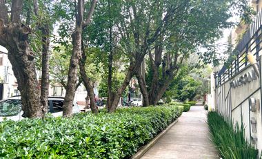 Renta departamento PH en Polanco con terraza y balcones.