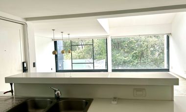 Renta departamento PH en Polanco con terraza y balcones.