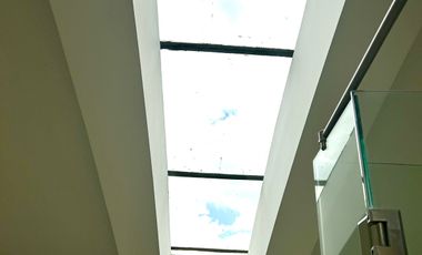 Renta departamento PH en Polanco con terraza y balcones.