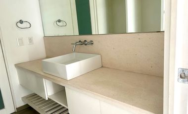 Renta departamento PH en Polanco con terraza y balcones.
