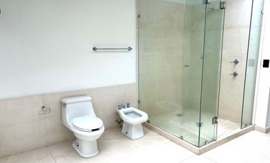 Renta departamento PH en Polanco con terraza y balcones.