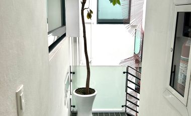 Renta departamento PH en Polanco con terraza y balcones.