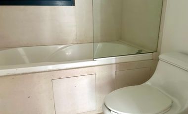 Renta departamento PH en Polanco con terraza y balcones.