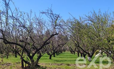 Parcela en Venta en Los Almendrales de Nos - Parcela #5 , Comuna de Buin