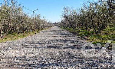 Parcela en Venta en Los Almendrales de Nos - Parcela #5 , Comuna de Buin