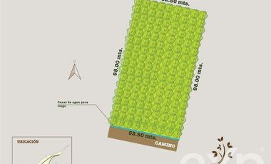 Parcela en Venta en Los Almendrales de Nos - Parcela #8 , Comuna de Buin