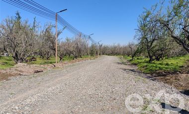 Parcela en Venta en Los Almendrales de Nos - Parcela #1 , Comuna de Buin