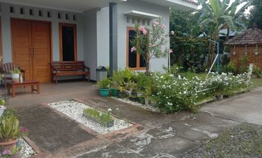 Homestay (Rumah Sewa Harian) hanya 500m ke Umy, Ring Road Selatan