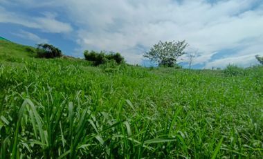 LOTE EN VENTA EN SANTAGUEDA - PALESTINA