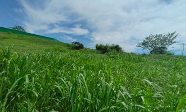 LOTE EN VENTA EN SANTAGUEDA - PALESTINA