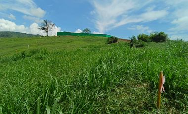 LOTE EN VENTA EN SANTAGUEDA - PALESTINA