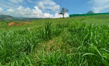 LOTE EN VENTA EN SANTAGUEDA/ PALESTINA