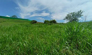 LOTE EN VENTA EN SANTAGUEDA/ PALESTINA