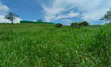 LOTE EN VENTA EN SANTAGUEDA - PALESTINA