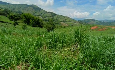 LOTE EN VENTA EN SANTAGUEDA - PALESTINA