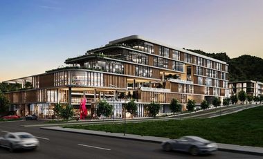 🏬 Locales Comerciales en Preventa – Valle Alto.