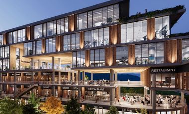 🏬 Locales Comerciales en Preventa – Valle Alto.