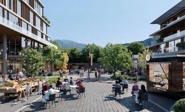 🏬 Locales Comerciales en Preventa – Valle Alto.