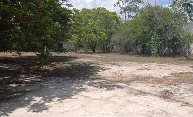 Casa con amplio terreno, a una cuadra del Parque Adolfo López Mateos
