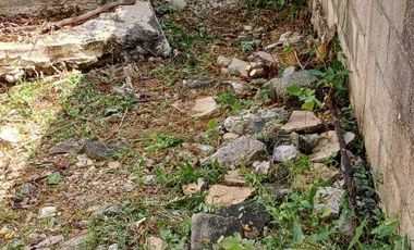 Casa con amplio terreno, a una cuadra del Parque Adolfo López Mateos