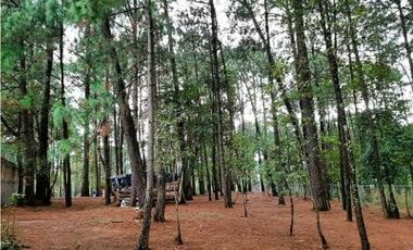 Terreno en Renta, Casas Viejas Valle de Bravo