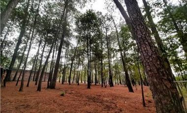 Terreno en Renta, Casas Viejas Valle de Bravo