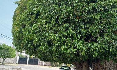 CASA EN VENTA EN BURGOS, TEMIXCO